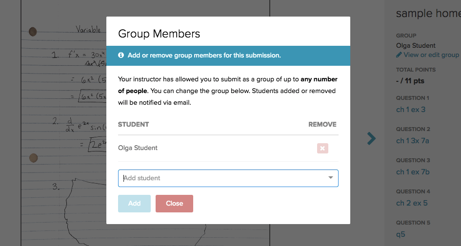 How to add group members to your submission